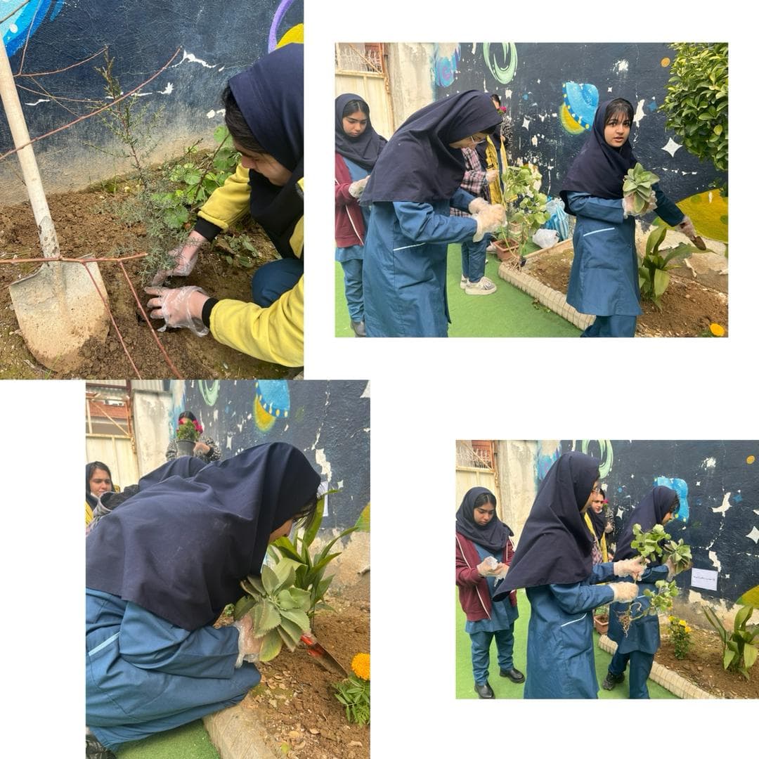 15اسفند روز درخت و درختکاری