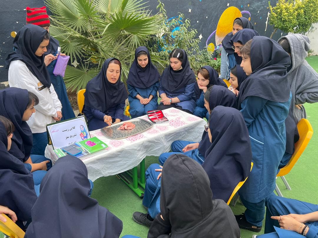 کلاس زیست تشریح مغز